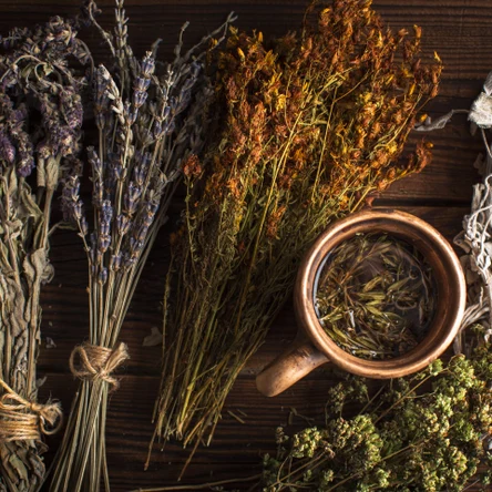 Сбор лекарственных трав от пьянства